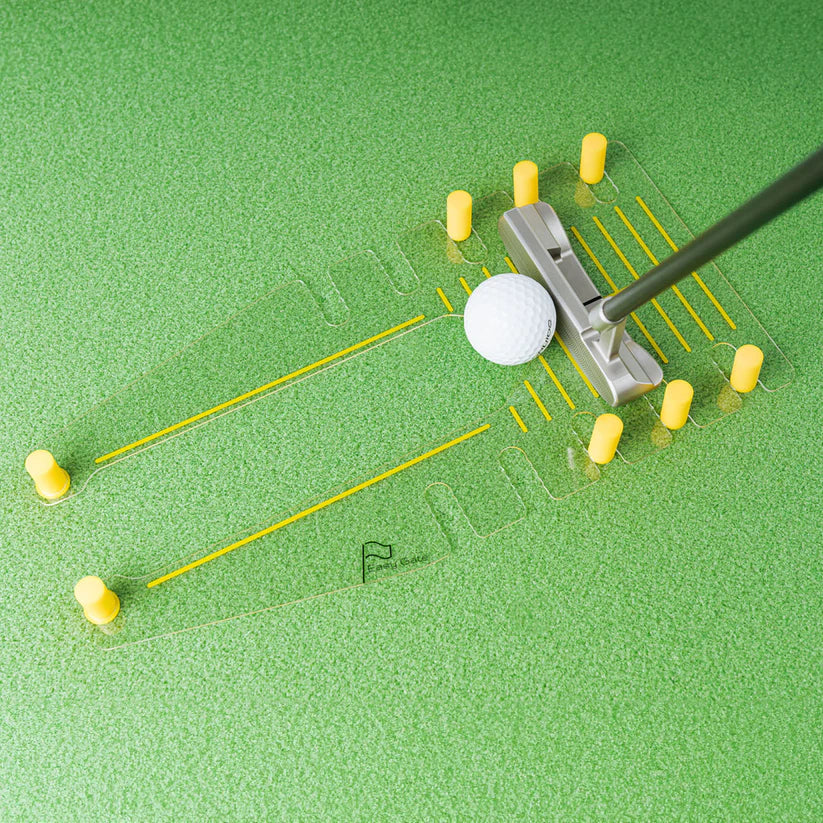 ICON Easy Gate image 1